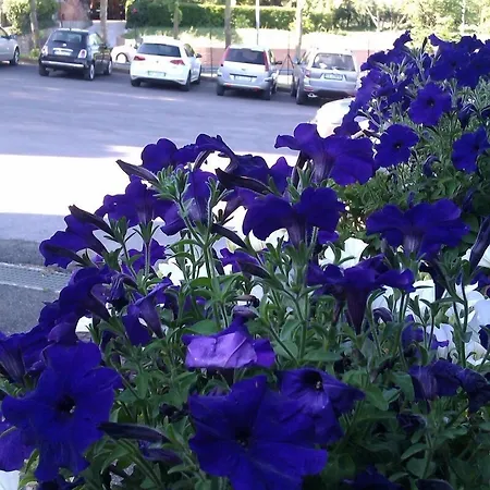 Ξενοδοχείο I Platani Σιένα