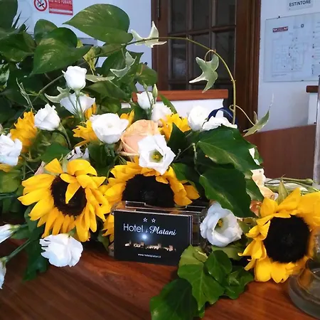 Hotel I Platani Siena