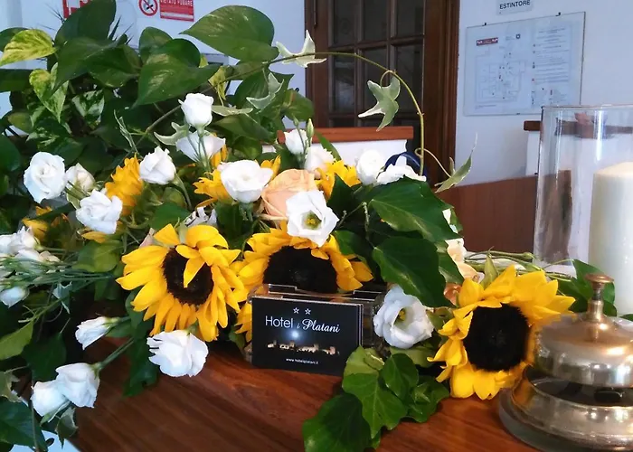 Szálloda I Platani Siena