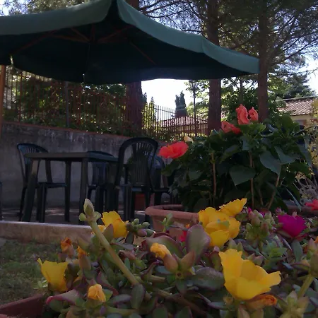 I Platani فندق سيينا